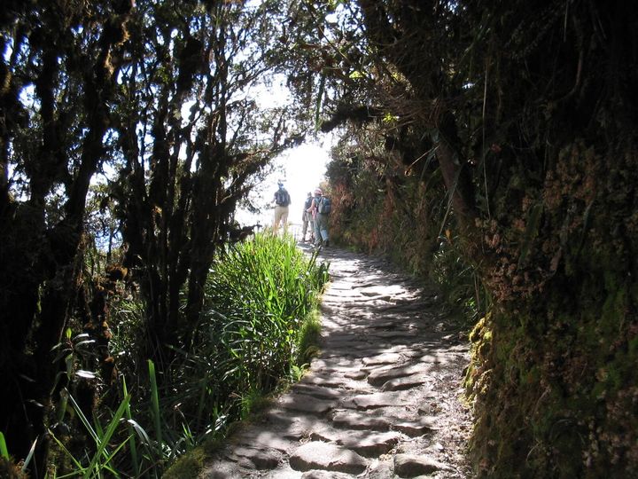 Camino Inca clásico a Machu Picchu – foto 10
