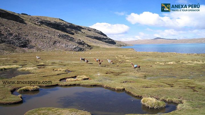 Trek de la cordillera del Vilcanota – foto 2