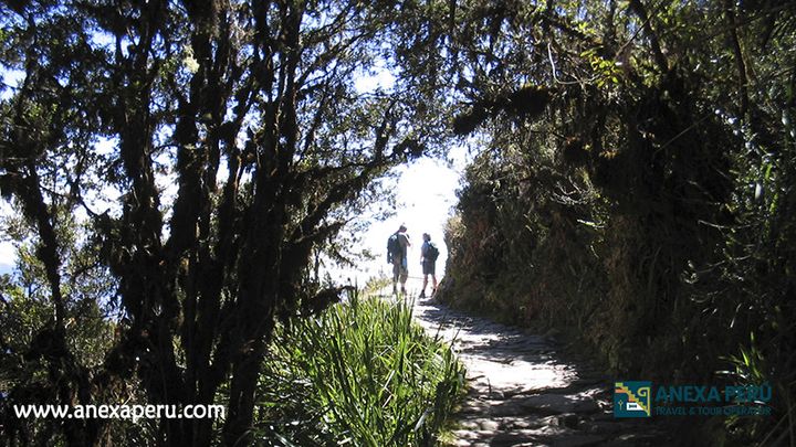 Camino Inca clásico a Machupicchu – foto 15