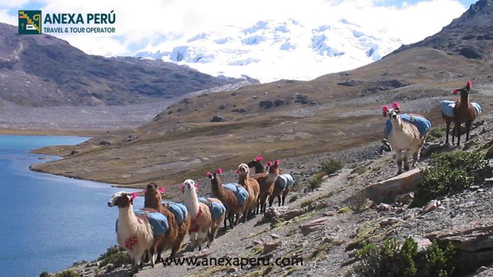 Trek de la cordillera del Vilcanota – foto 12