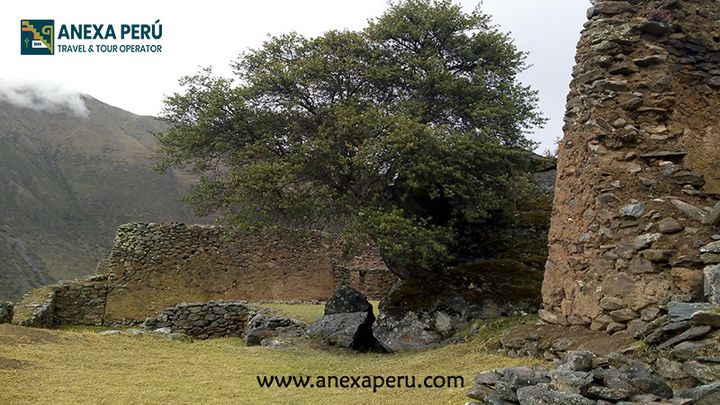 Yanamayo-Ollantaytambo-Machupicchu Trek – photo 11